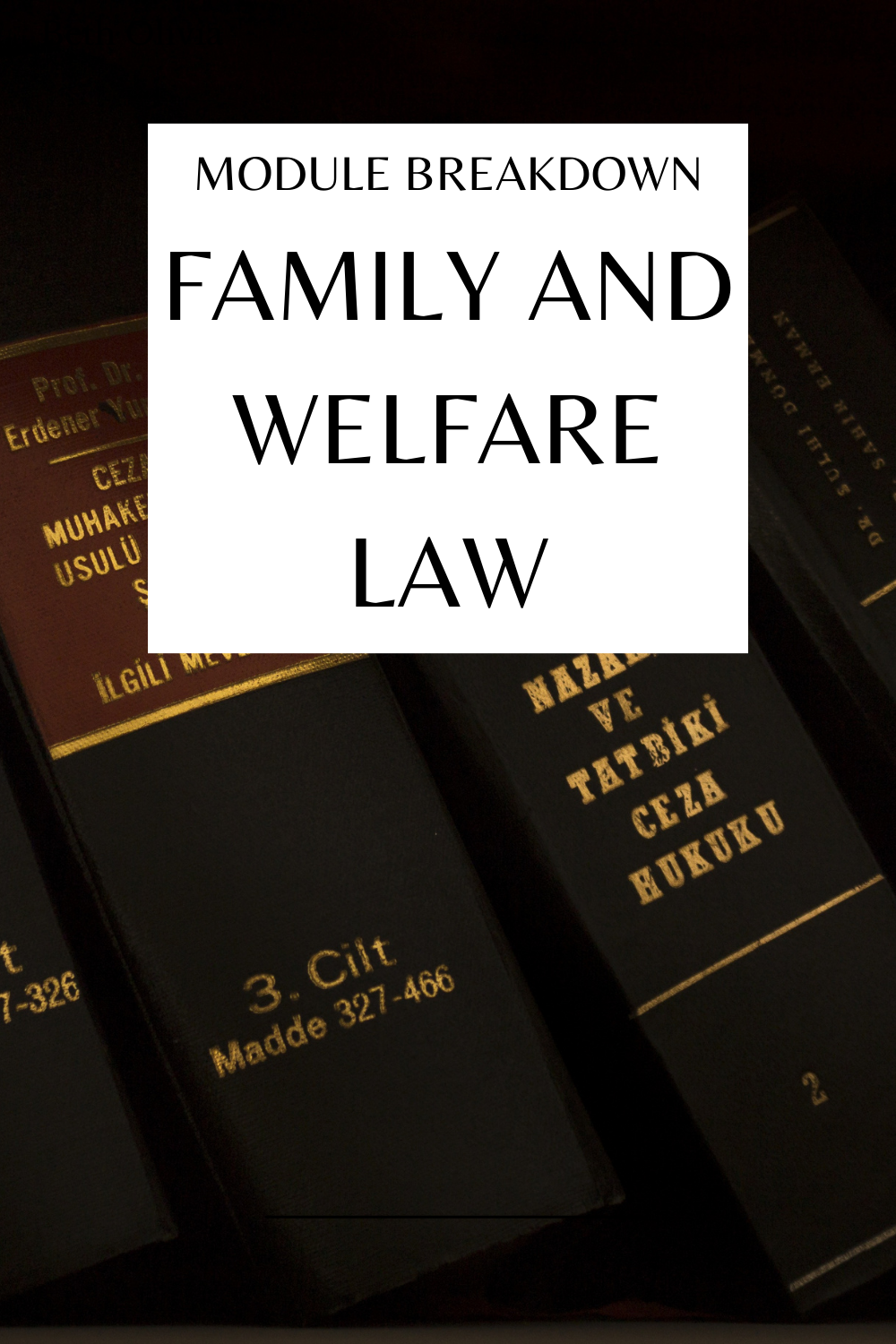 El Module Breakdown Module Breakdown – Family and Welfare Law – Beth Olivia